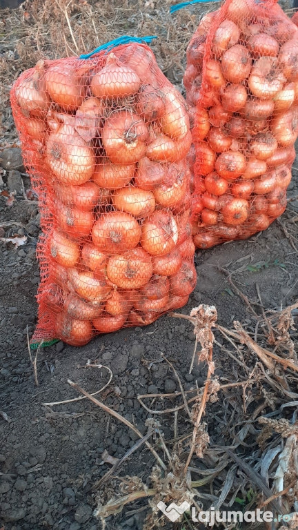 Ceapa