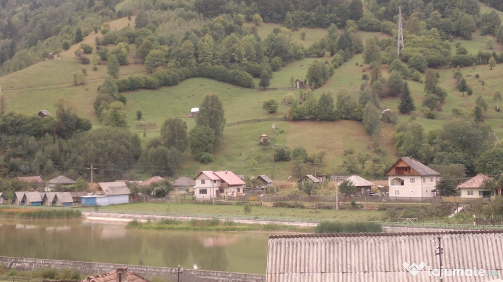 Teren , sat Ruseni, comuna Poiana Teiului, judetul Neamt