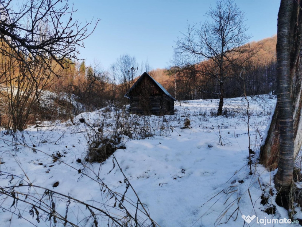 Teren Blidari zona Lostrița 44000  mp