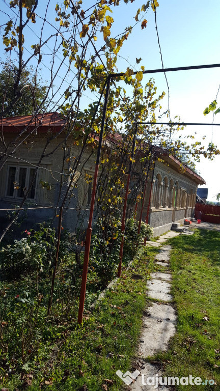 Casă , Ghimpați/Răcari