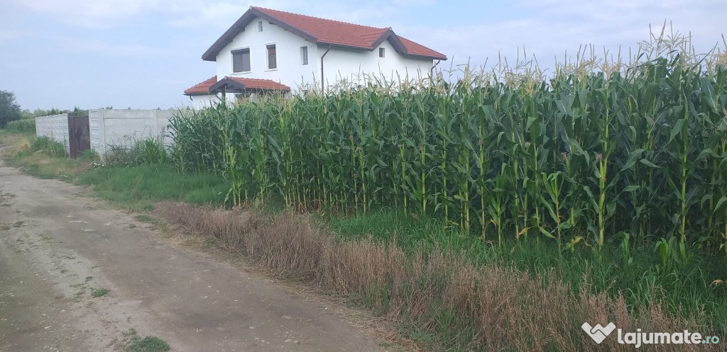 Teren sat Teghes, com Domnesti zona vile, deschidere 36m