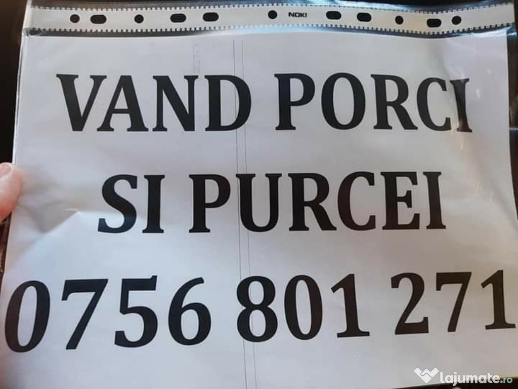 Pui de carne 100%naturali