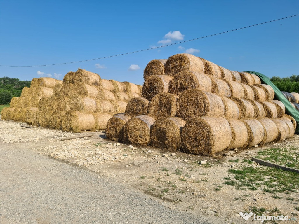 Lucerna Baloti rotunzi