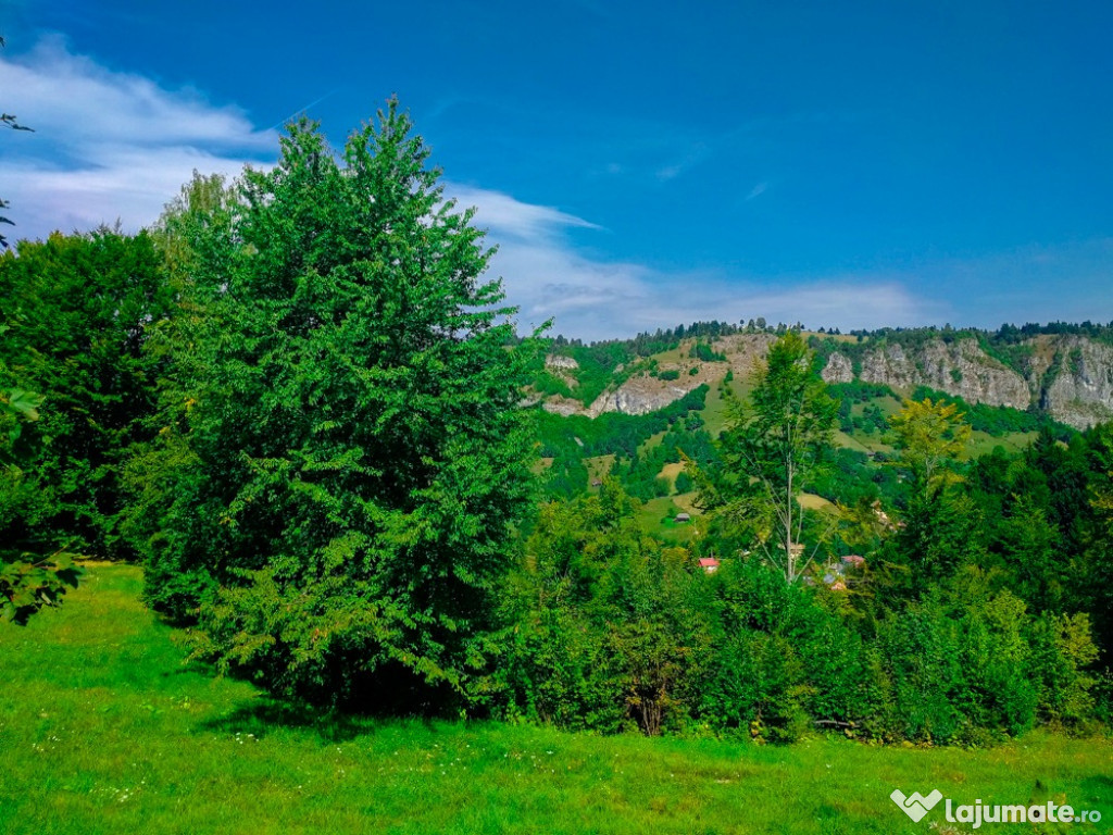 Teren intravilan Dambovicioara Arges