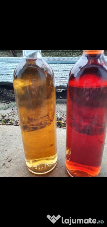 Vin producție 2018/2019/2020