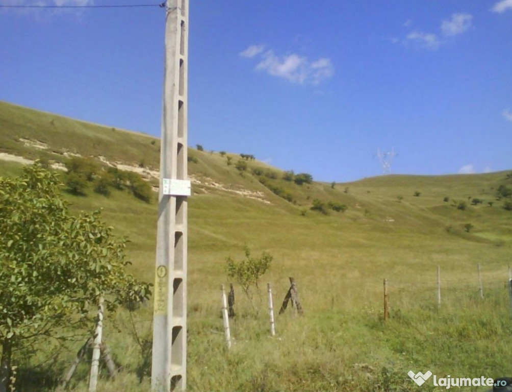 Teren la lacul Bezid din Sangiorgiu de Pădure, Mures 9800mp