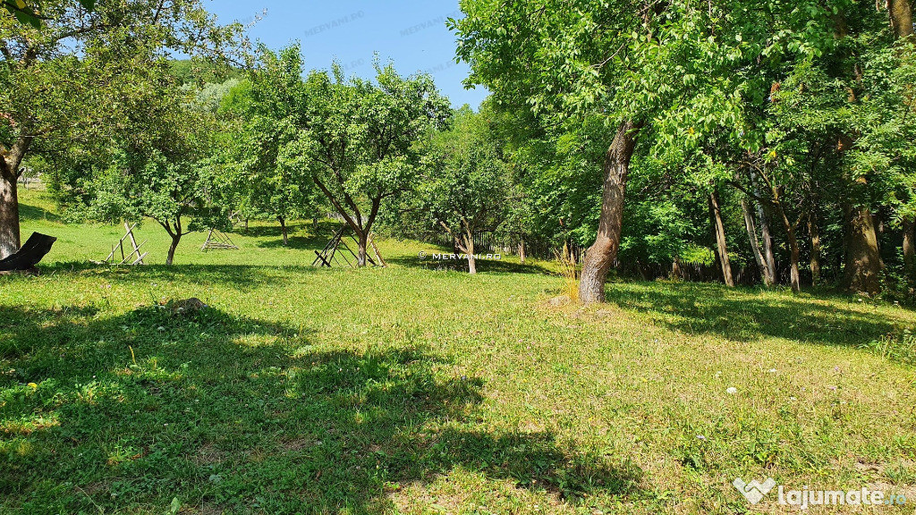 Teren Intravilan 702mp Valea Doftanei