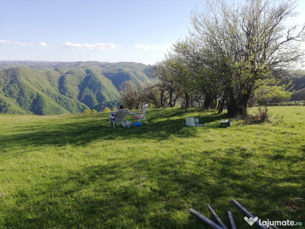 Teren 10000mp intravilan +6000mp fâneță