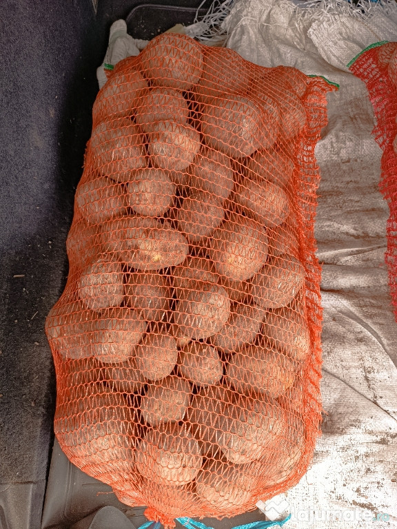 Cartofi consum Bellarosa sí Arizona
