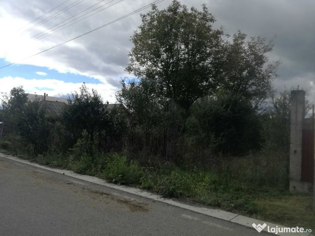 Terenuri intravilan 9000+5400mp Frunzeni, Costisa, Neamt