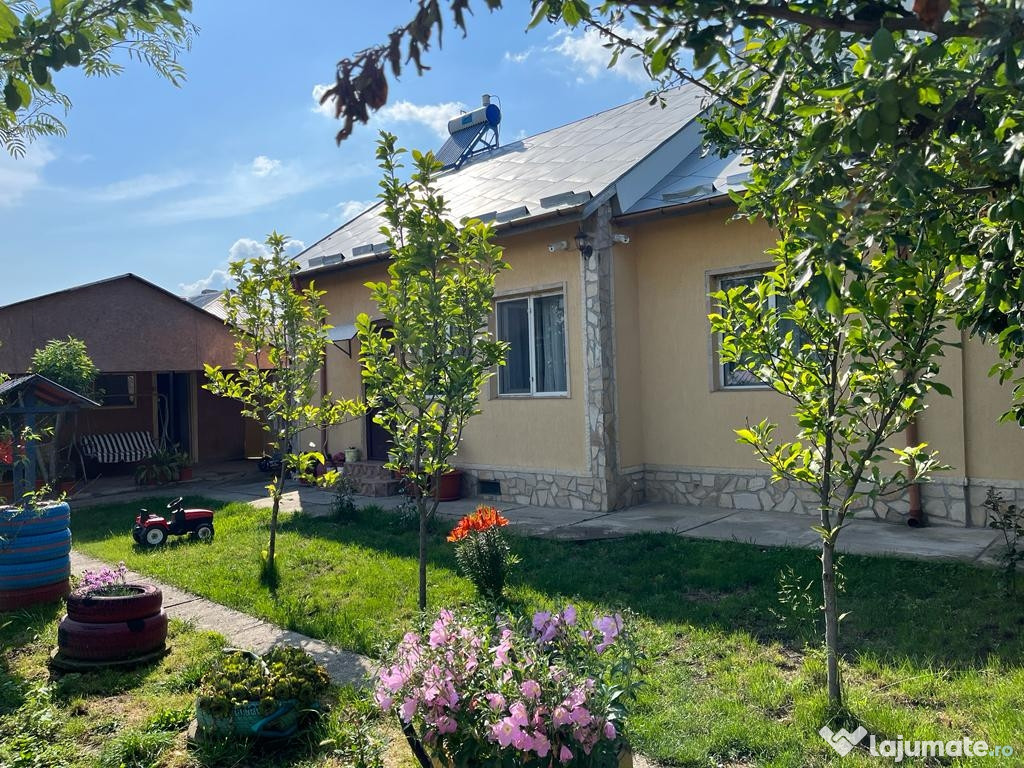 Casa + afacere in com. Lița, Saelele, Teleorman