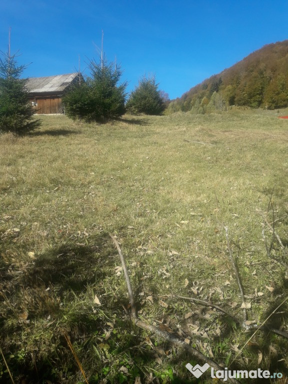 Teren Piatra Craiului Brasov Arges 1000mp