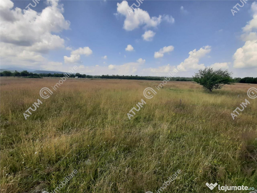 Teren Intravilan in Avrig zona Valea Avrigului 8900 metri