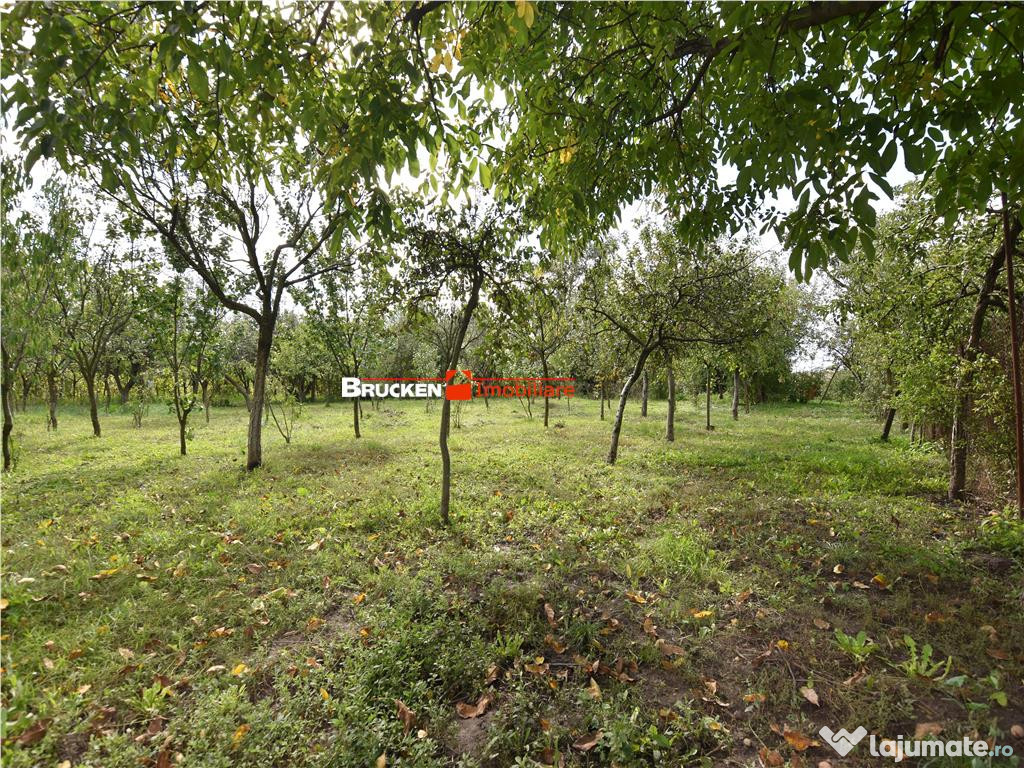 CASA IN ZONA GARII | MARGHITA