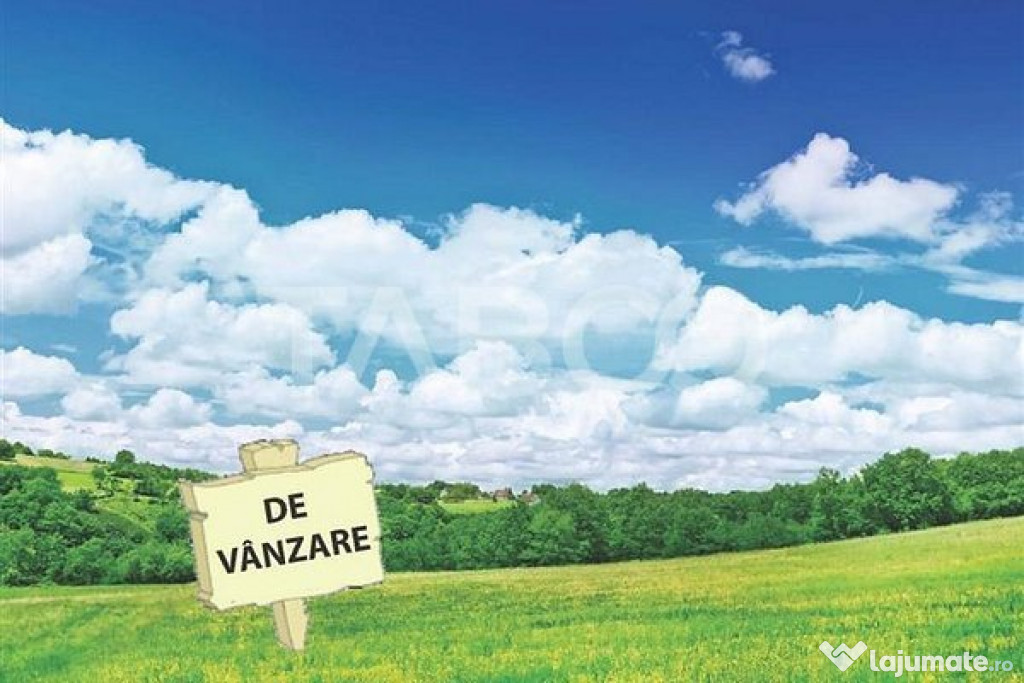 Teren extravilan de vanzare 25465 mp la intrare in Ocna Sibi