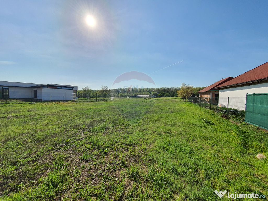 Teren constructii Moara Vlasiei in apropiere de padure, c...