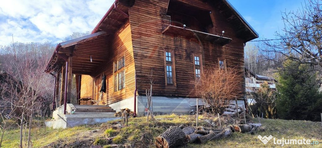 DE VANZARE CASA DE VACANTA - comuna Râzvad