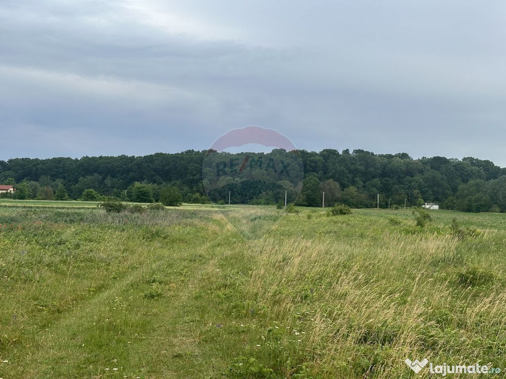 Teren Gulia - 1000 mp dubla deschidere zona Tartasesti