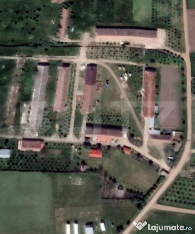 Teren cu fosta ferma zootehnica, suprafata 239.551 mp, Maslo