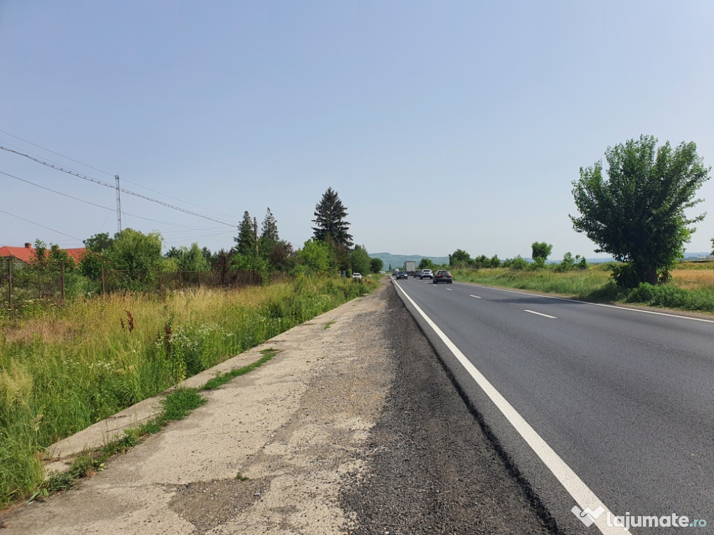 Teren intravilan în Lipanesti, 10.000 mp