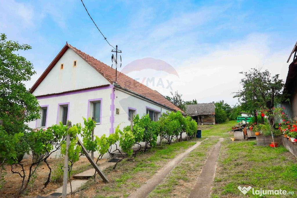 Casă cu livadă, renovată total, de vânzare în Șișt...