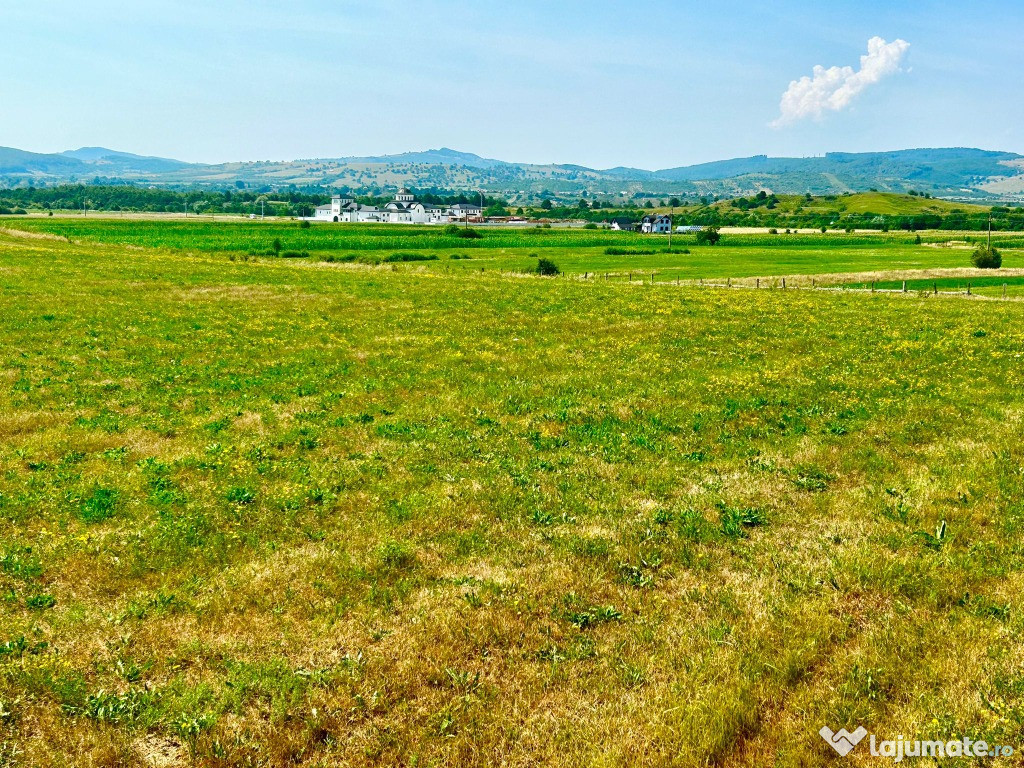 Teren 20 de ari Dorolea, Bistrita-Nasaud