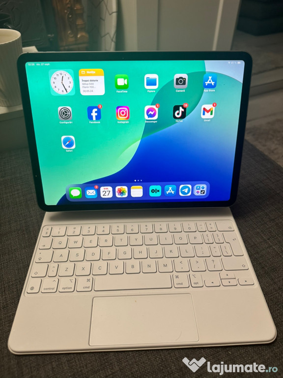 IPad Pro 11 m4 512 gb