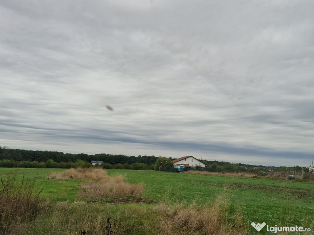 Teren intravilan 520mp in Balotesti,langa padure