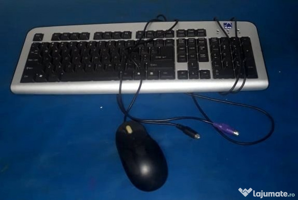 Tastatura si mouse