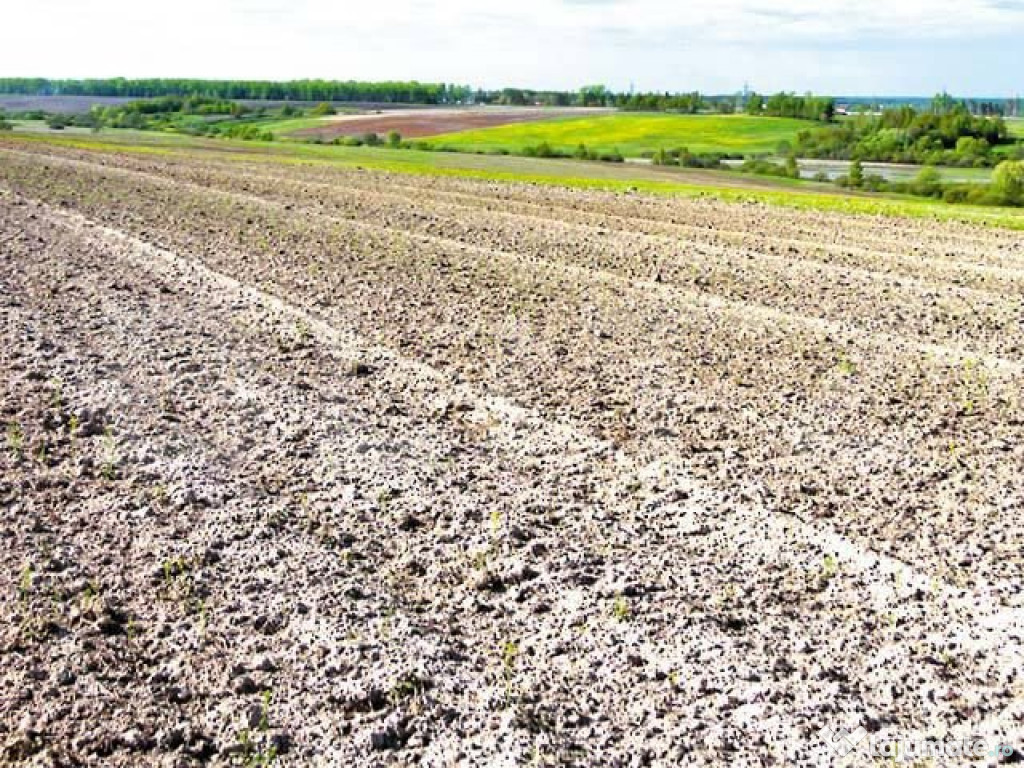 Teren de vanzare livada de bihor 5800 mp