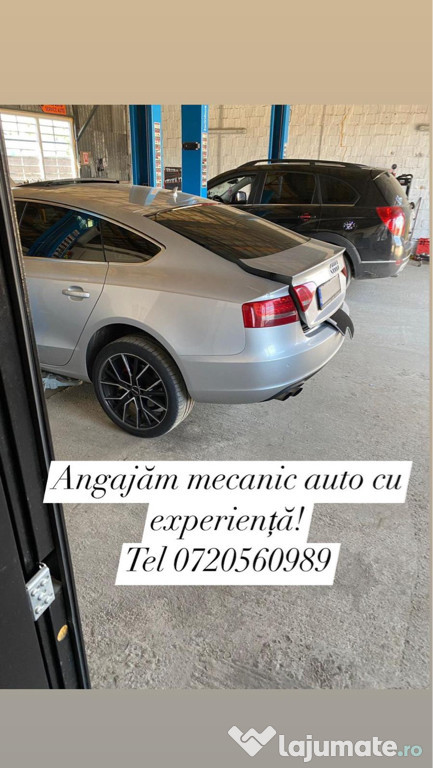 Angajez mecanic auto cu experiență