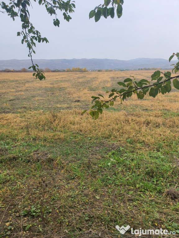 Teren extravilan 6200 mp în Podenii Noi