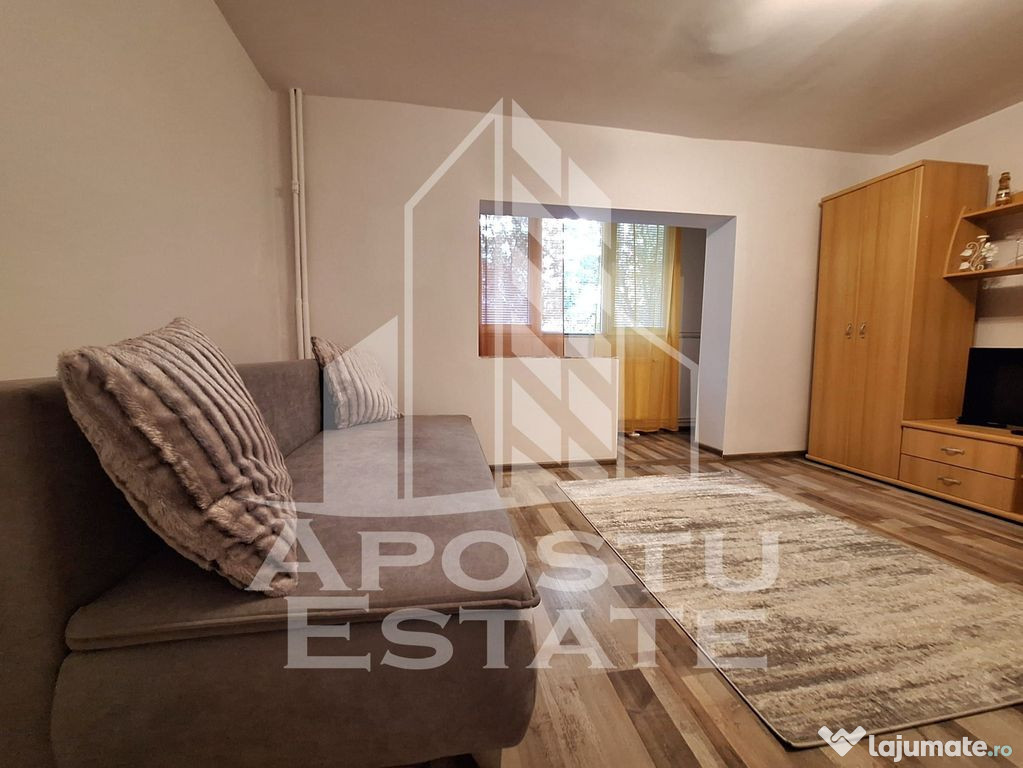 Apartament cu o camera, 41 mp utili, Micalaca