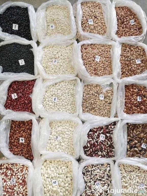 High-quality beans of various varieties