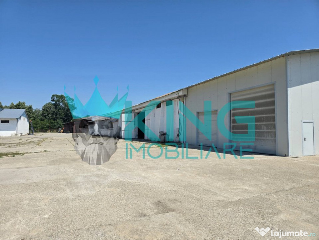 SPATIU INDUSTRIAL | NUCET | 23689 MP | HALE | SPATIU BIROURI