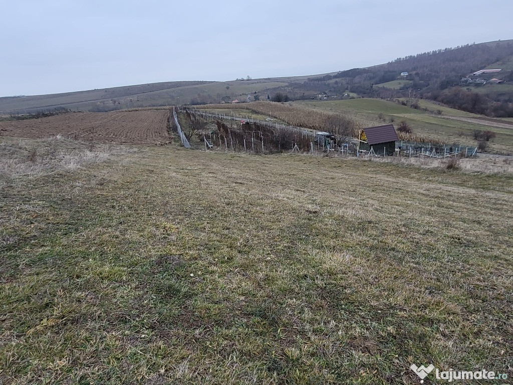 Vanzare teren in Cluj, comuna Feleac, sat Sărădis