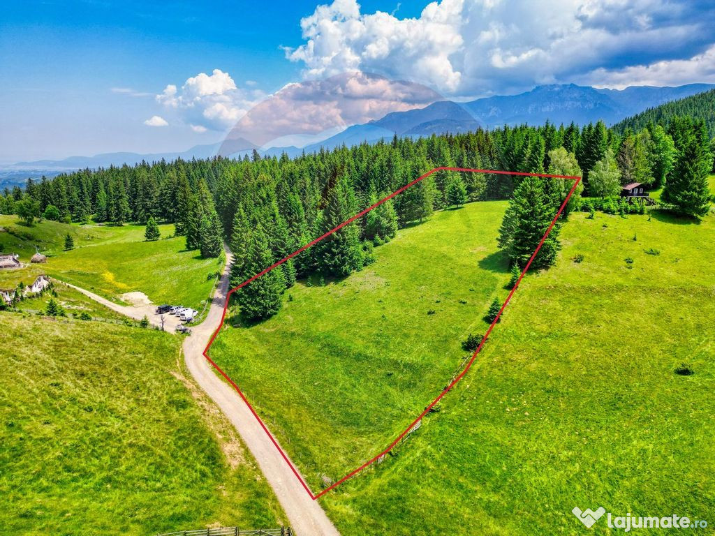Vânzare teren Fundata - priveliște panoramică!