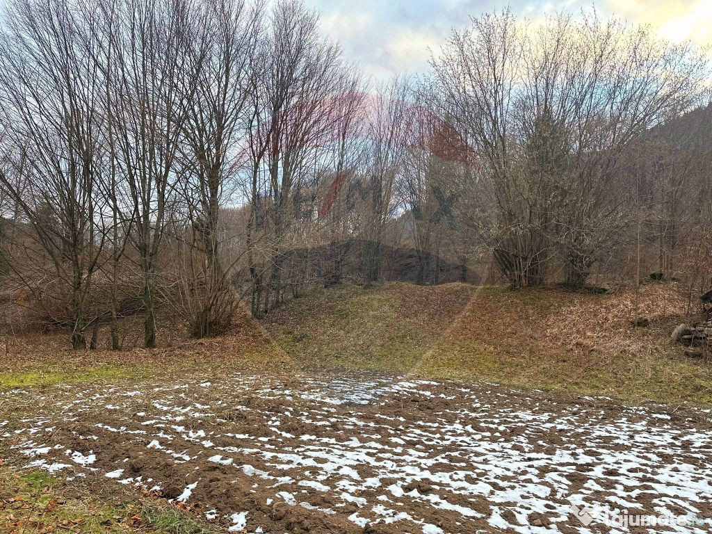 Teren 2,350mp Tarcau / Strada Cazaci , Punct Poiana Batrana