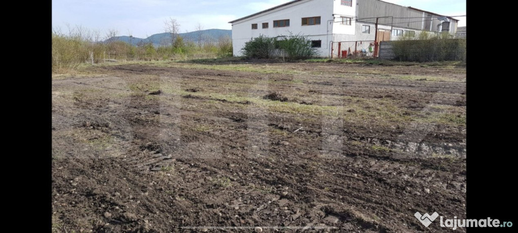 Teren intravilan în Parc industrial Sieu Magherus