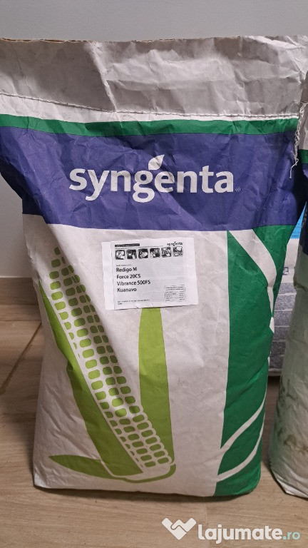 Syngenta samanta porumb