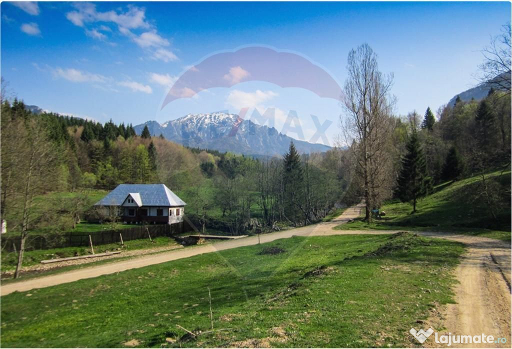 Teren 6000 mp, Vama Buzaului - vedere către Ciucaș