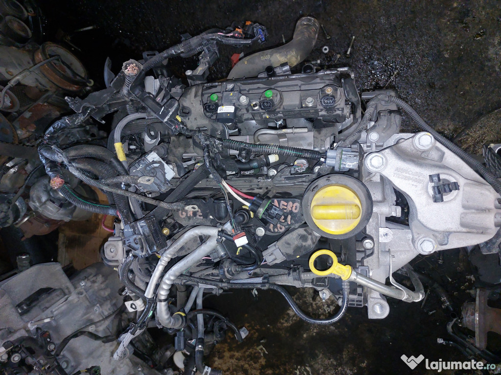 Placute fata Renault Laguna