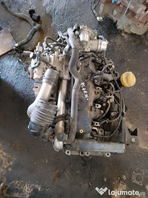 Curea transmisie cu caneluri Dacia Sandero
