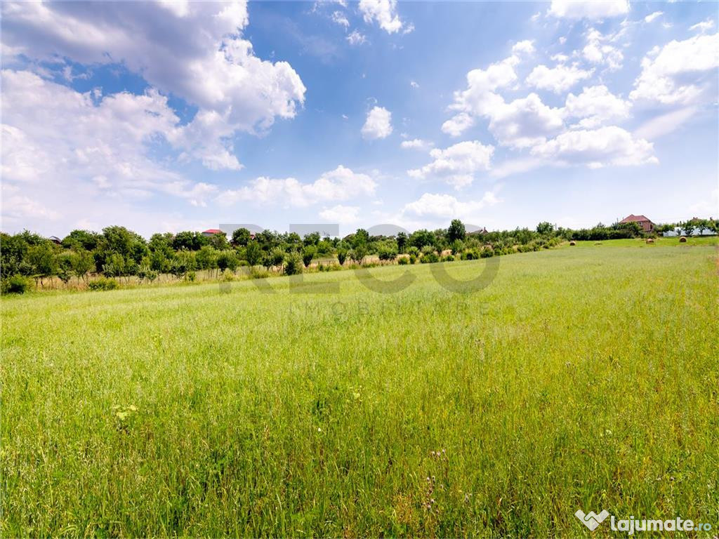 RECO Teren Intravilan 3725 MP, Loc. Cordau, Panorama spre Ba