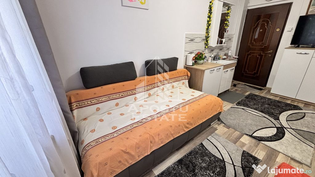 3 camere de camin renovate, mobilate si utilate, zona Dam...