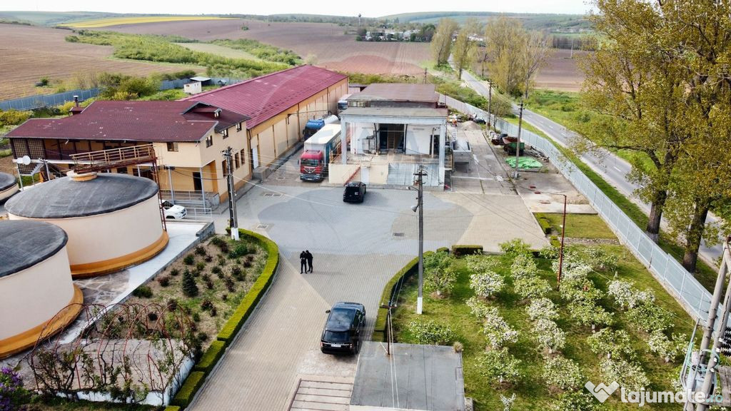 Crama din Buciumeni Afacere la cheie
