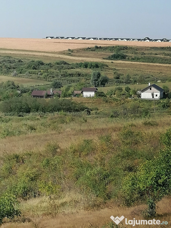 Vând teren extravilan
