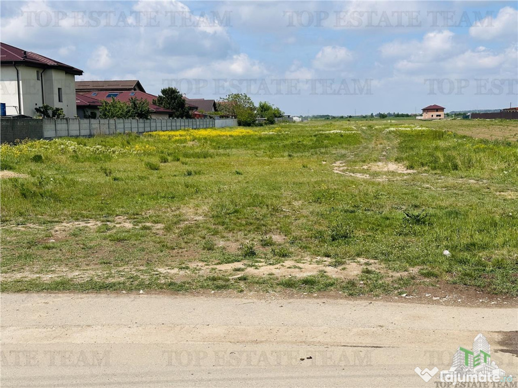 Teren intravilan 1.7 ha Dragomiresti Vale-Zurbaua, deschider