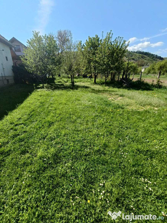 Teren intravilan pentru constructie casa individuala, Lona