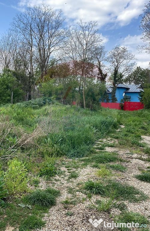 Teren Ciolpani 950 mp, intre case, utilitati la marginea ...